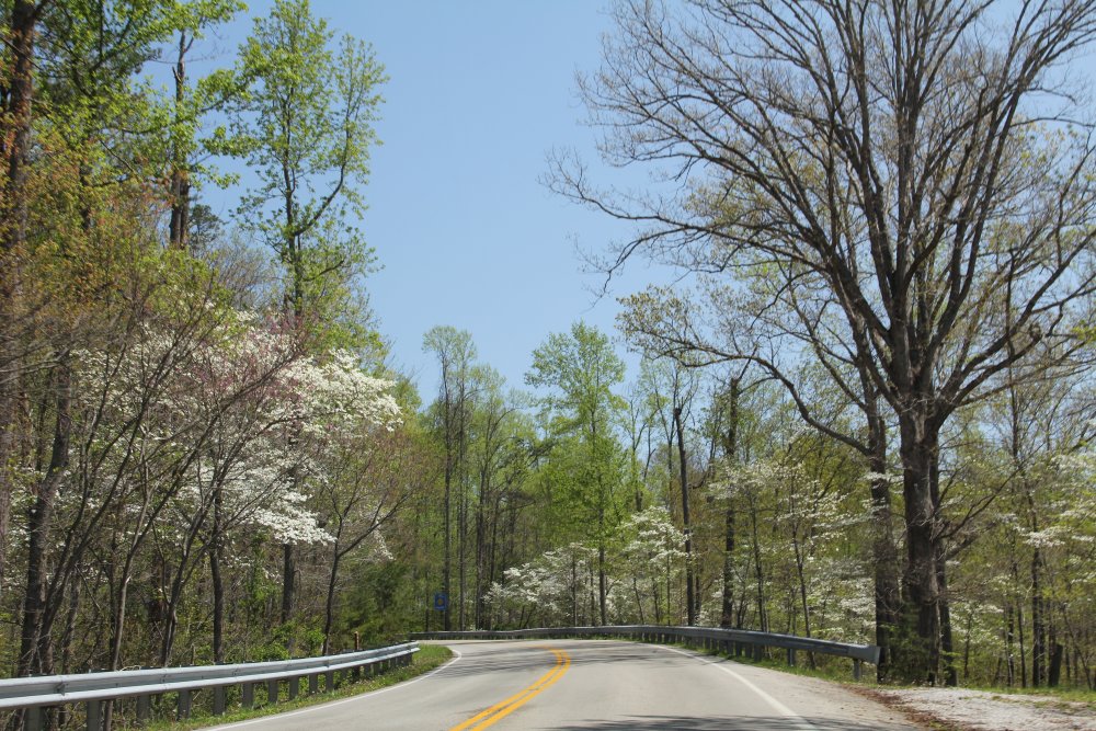 Daniel Boone National Forest